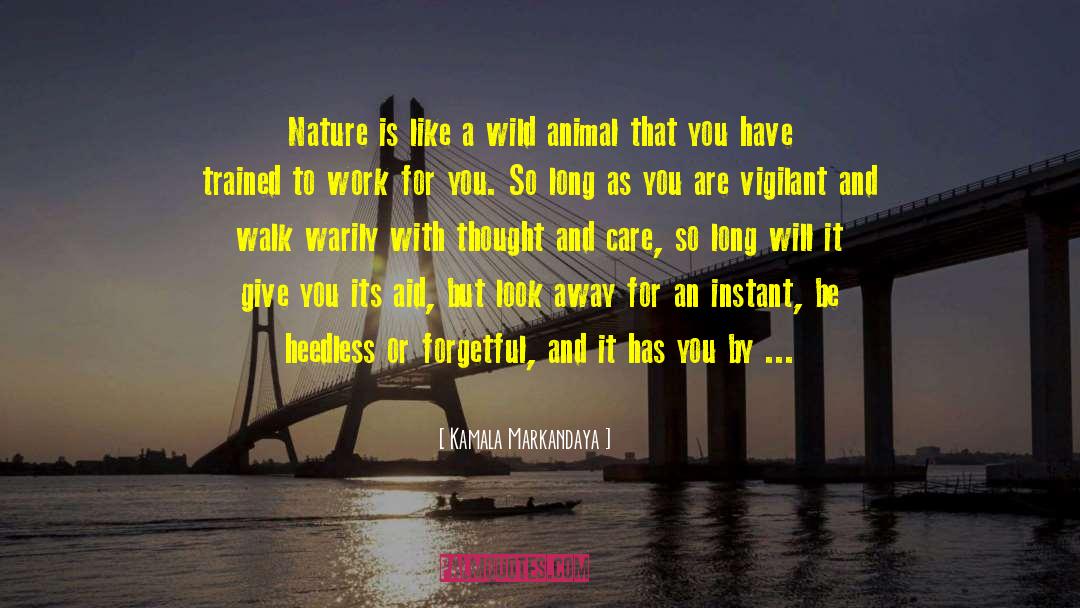 Wild Animal quotes by Kamala Markandaya