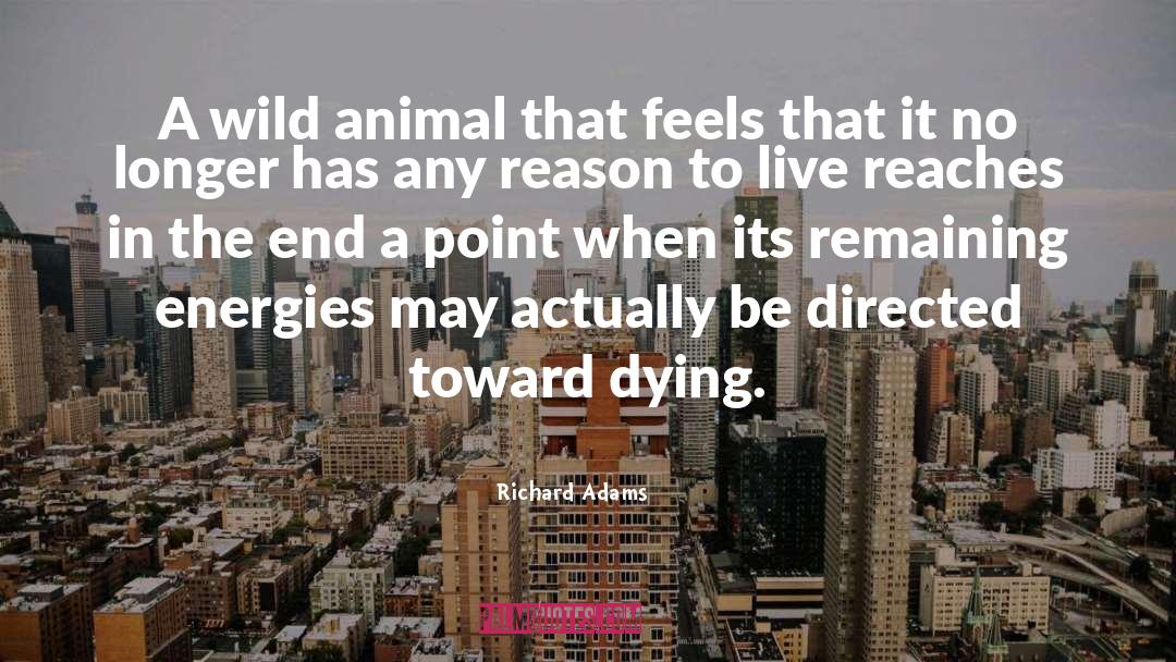 Wild Animal quotes by Richard Adams
