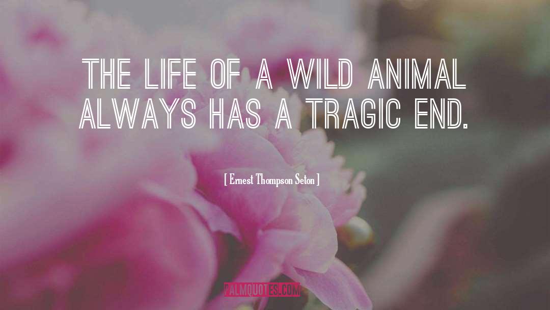 Wild Animal quotes by Ernest Thompson Seton