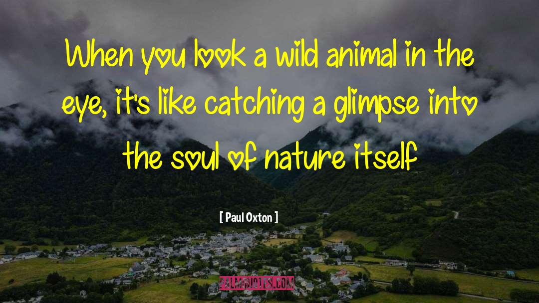 Wild Animal quotes by Paul Oxton
