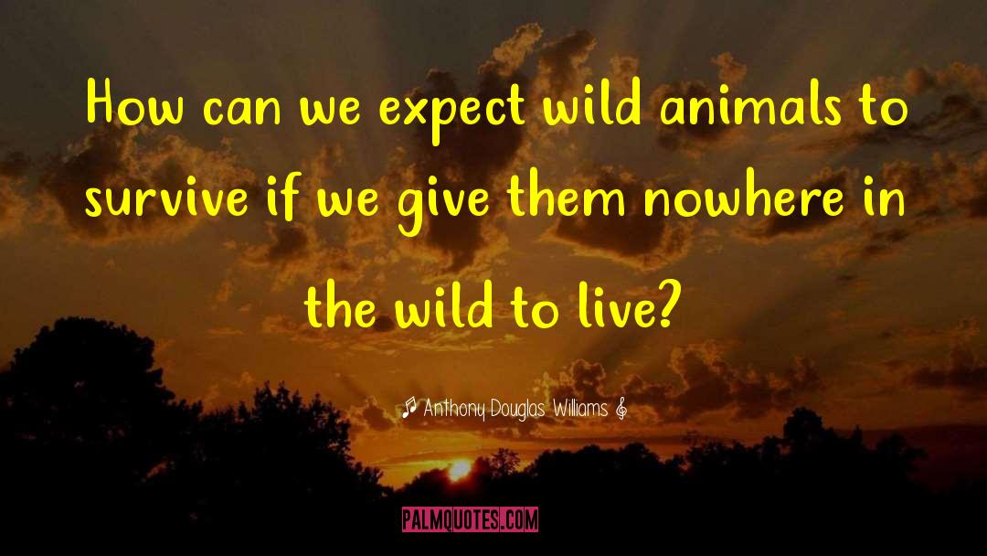 Wild Animal quotes by Anthony Douglas Williams