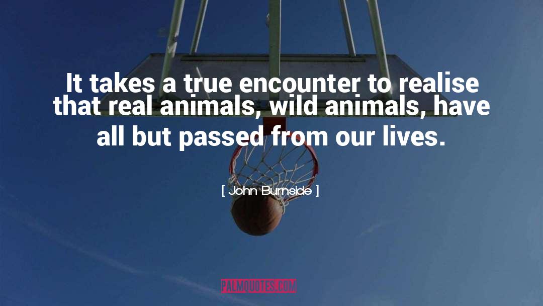 Wild Animals quotes by John Burnside