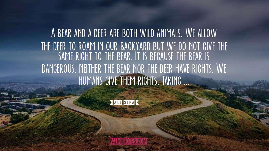 Wild Animals quotes by Ali Sina