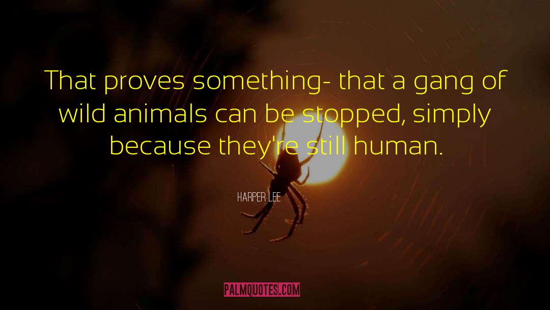Wild Animals quotes by Harper Lee