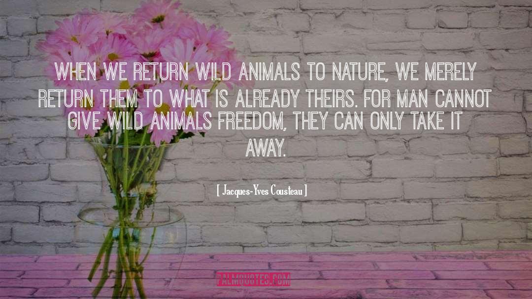 Wild Animals quotes by Jacques-Yves Cousteau