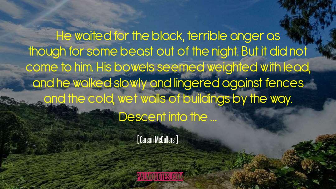 Wild At Heart quotes by Carson McCullers