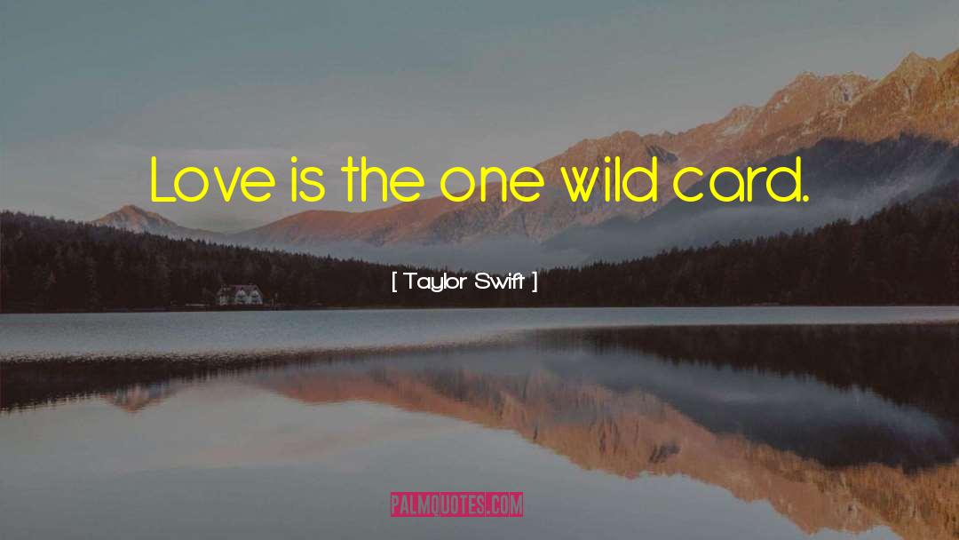Wild Beach quotes by Taylor Swift