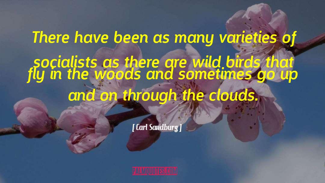 Wild Birds quotes by Carl Sandburg