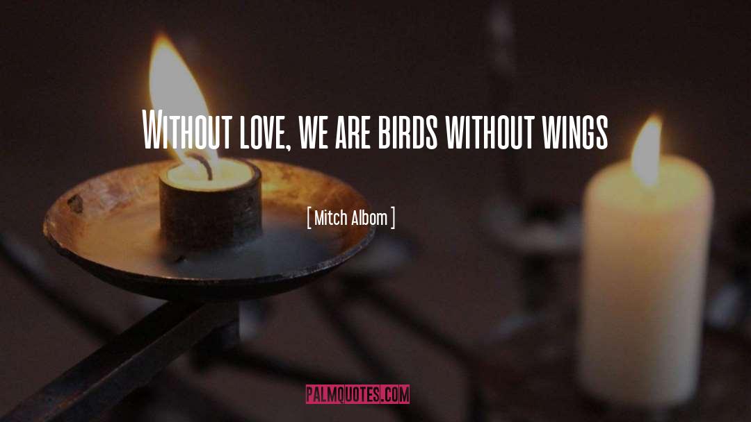 Wild Birds quotes by Mitch Albom
