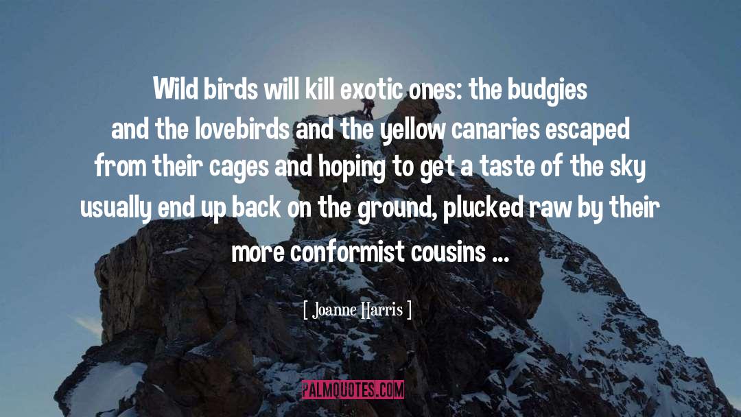 Wild Birds quotes by Joanne Harris