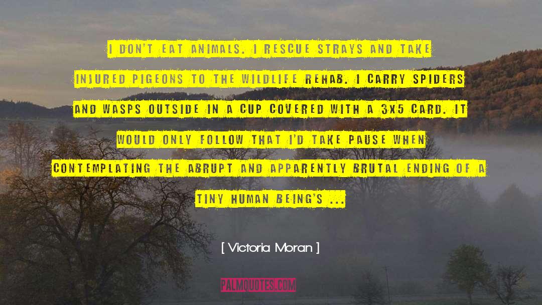 Wild Card quotes by Victoria Moran