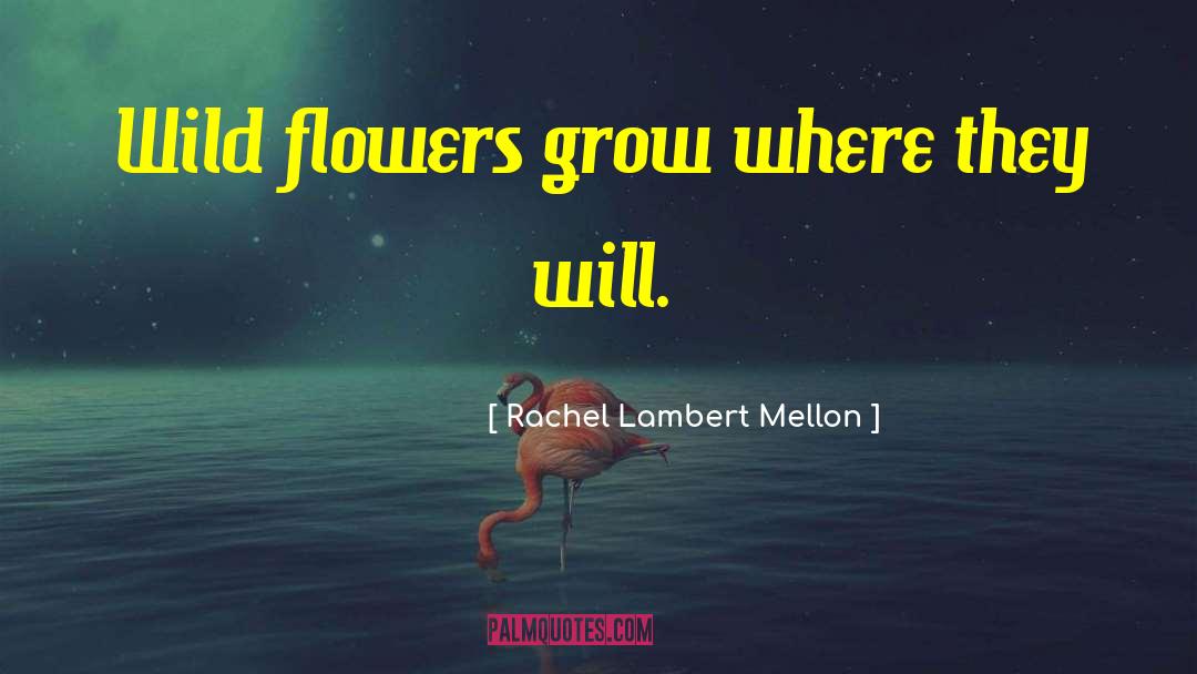 Wild Flowers quotes by Rachel Lambert Mellon