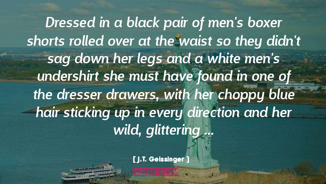 Wild Geese quotes by J.T. Geissinger