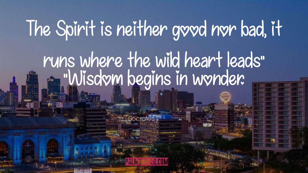 Wild Heart quotes by Socrates