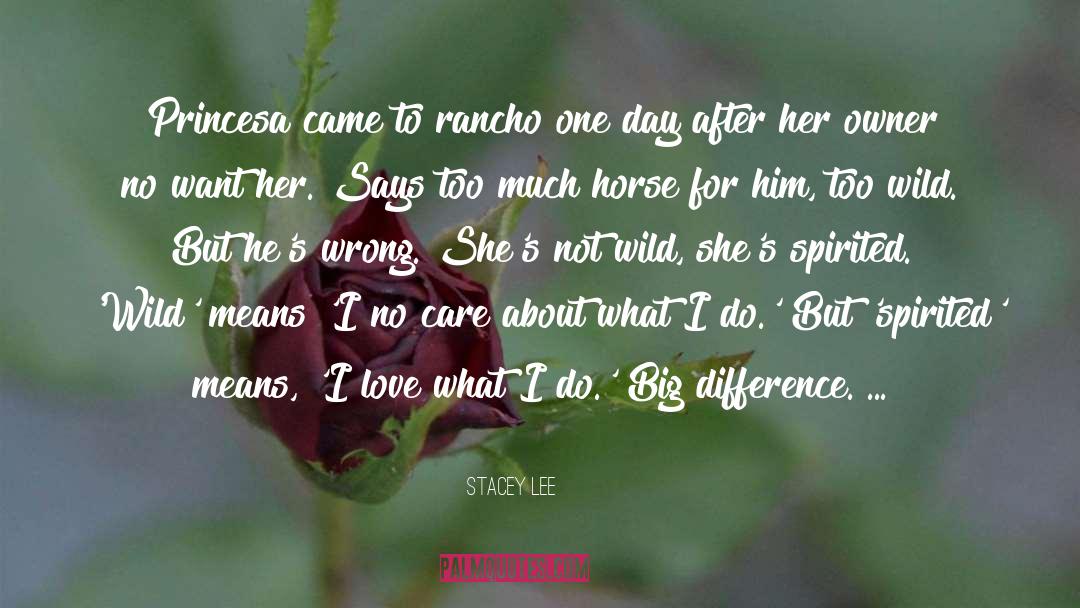 Wild Horse Feather quotes by Stacey Lee