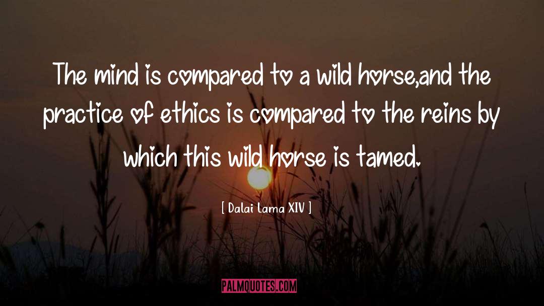 Wild Horse quotes by Dalai Lama XIV