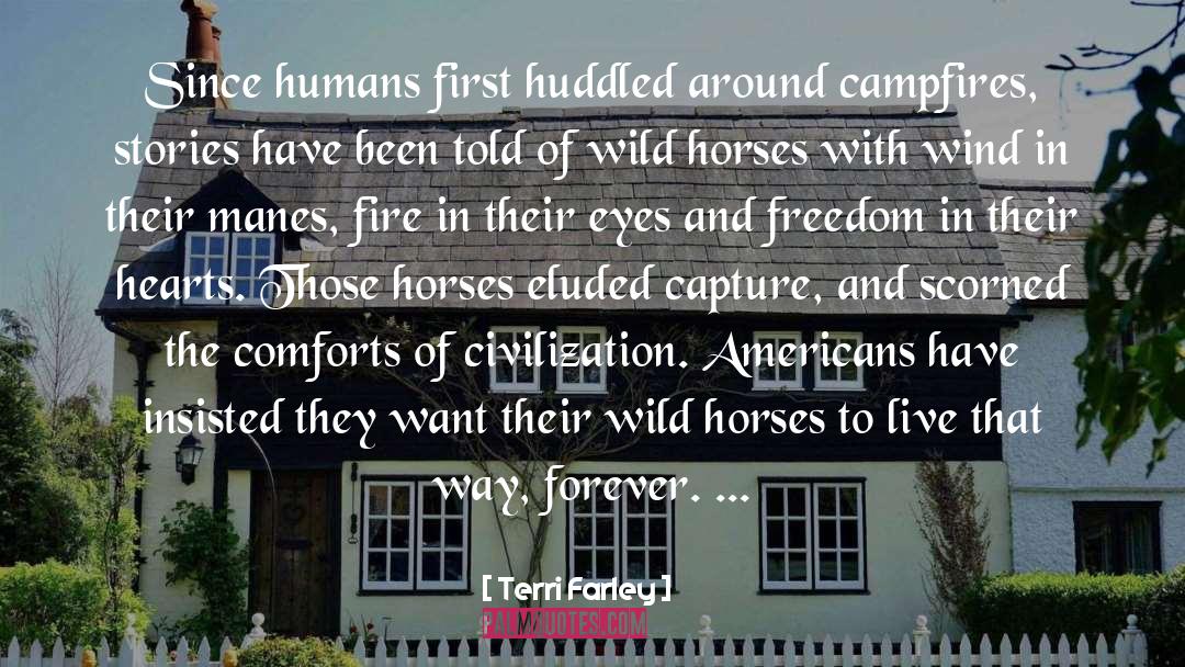 Wild Horsefeathers quotes by Terri Farley