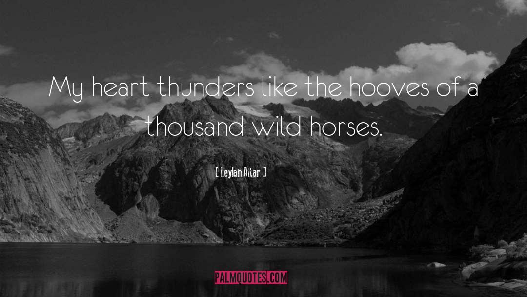 Wild Horses quotes by Leylah Attar