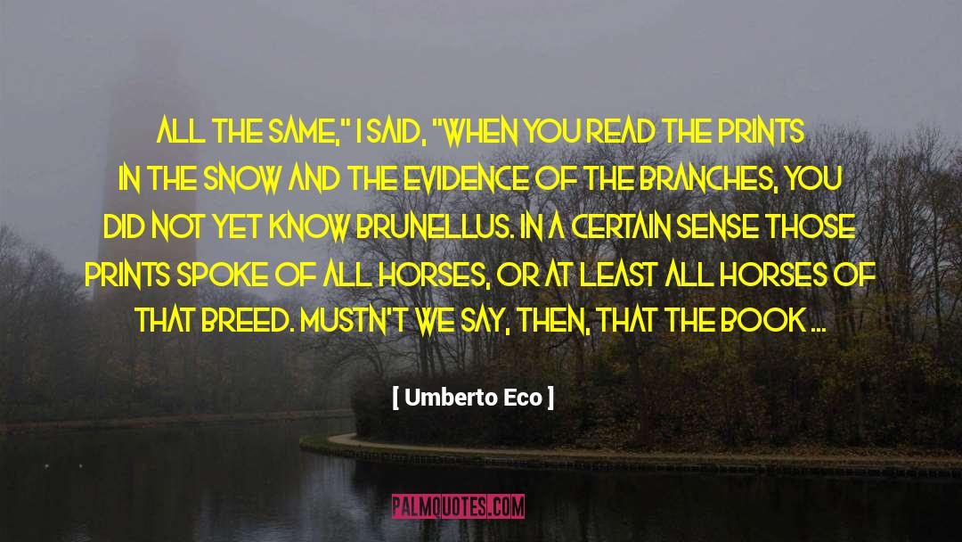 Wild Horses quotes by Umberto Eco
