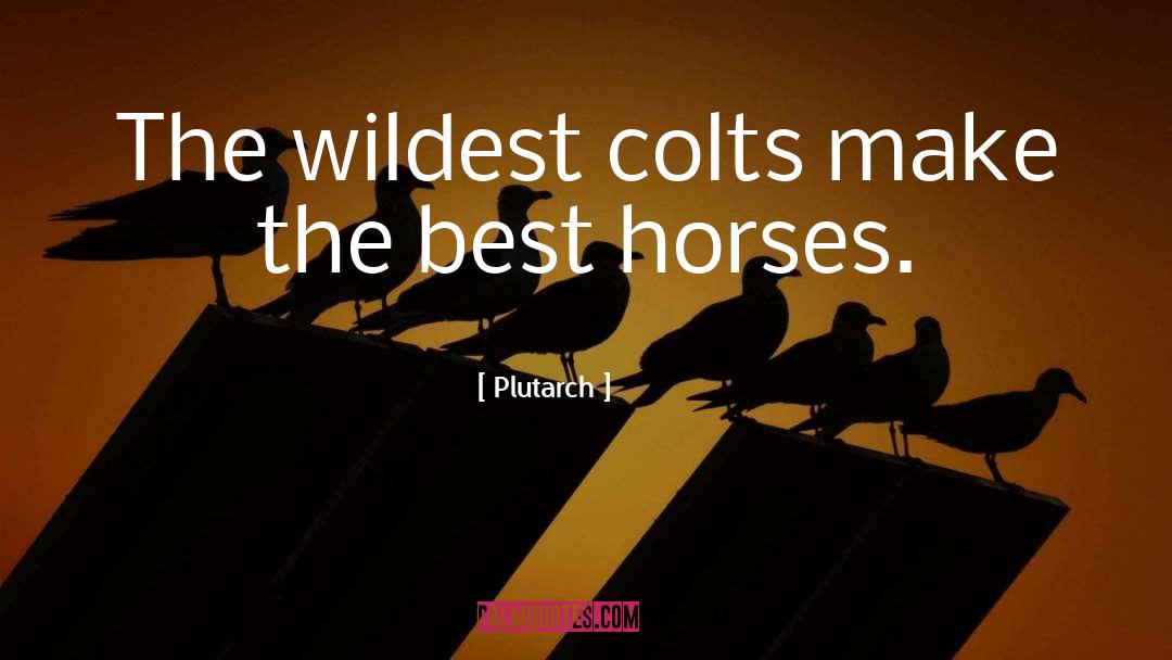 Wild Horses quotes by Plutarch