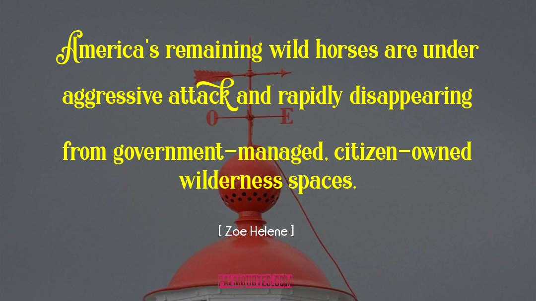 Wild Horses quotes by Zoe Helene