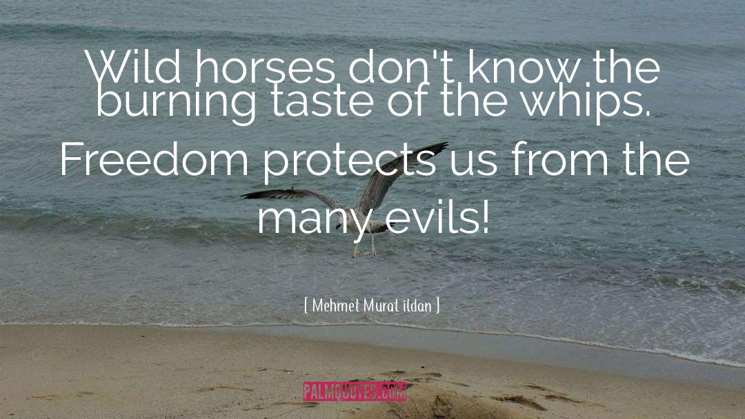 Wild Horses Roundup quotes by Mehmet Murat Ildan