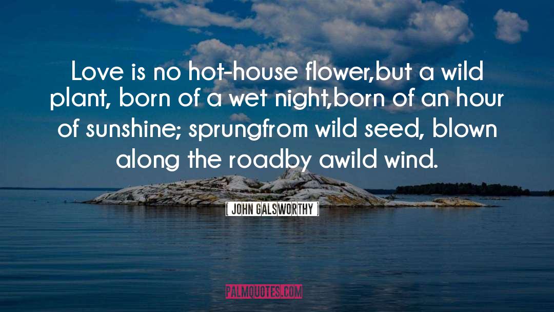 Wild Is Pure quotes by John Galsworthy