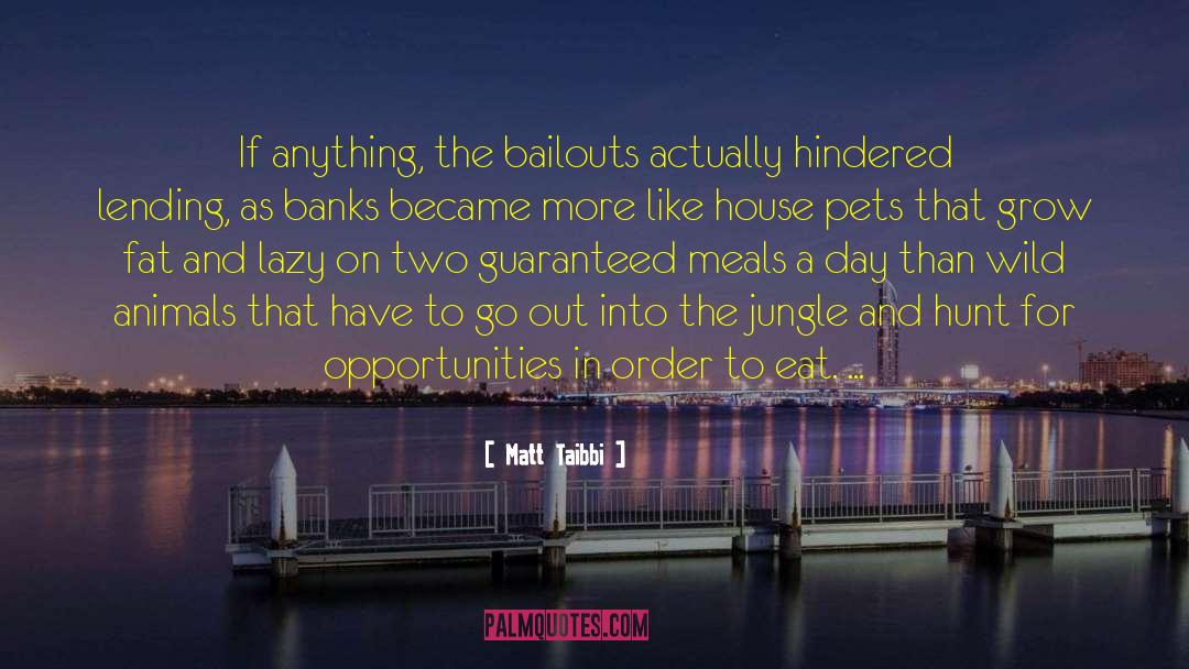 Wild Jungle quotes by Matt Taibbi