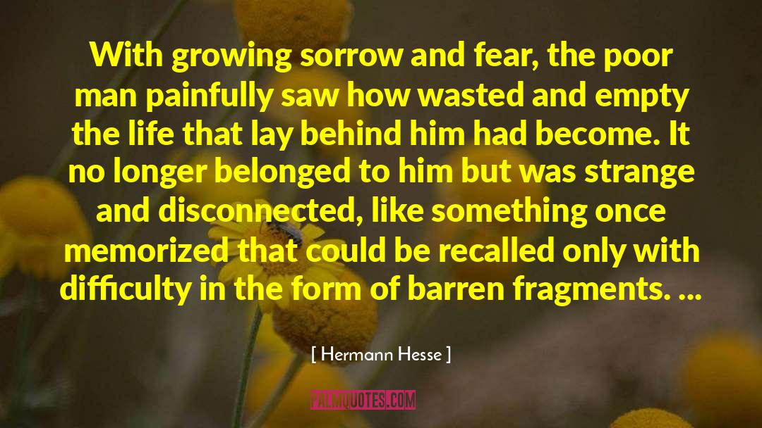 Wild Man quotes by Hermann Hesse