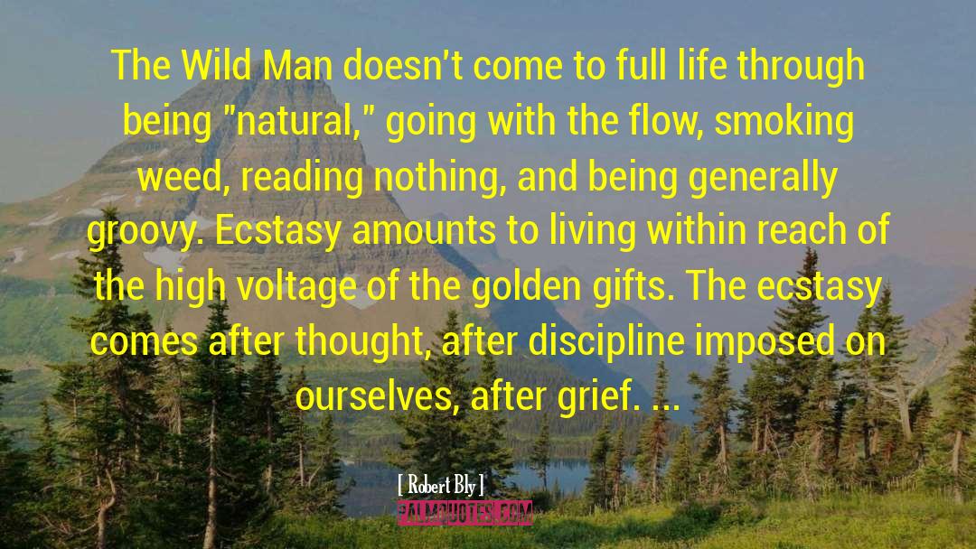 Wild Man quotes by Robert Bly