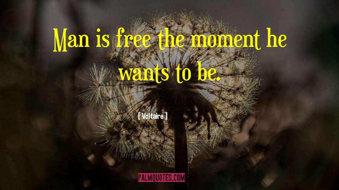 Wild Man quotes by Voltaire