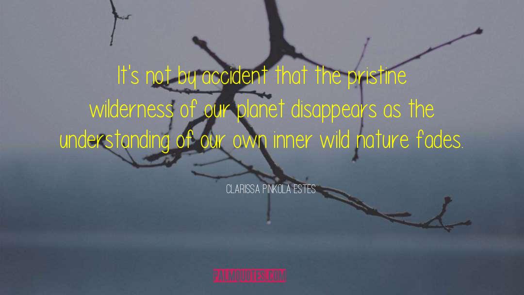 Wild Nature quotes by Clarissa Pinkola Estes