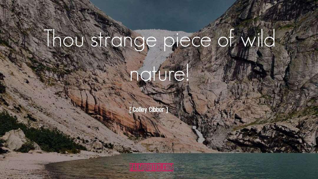 Wild Nature quotes by Colley Cibber