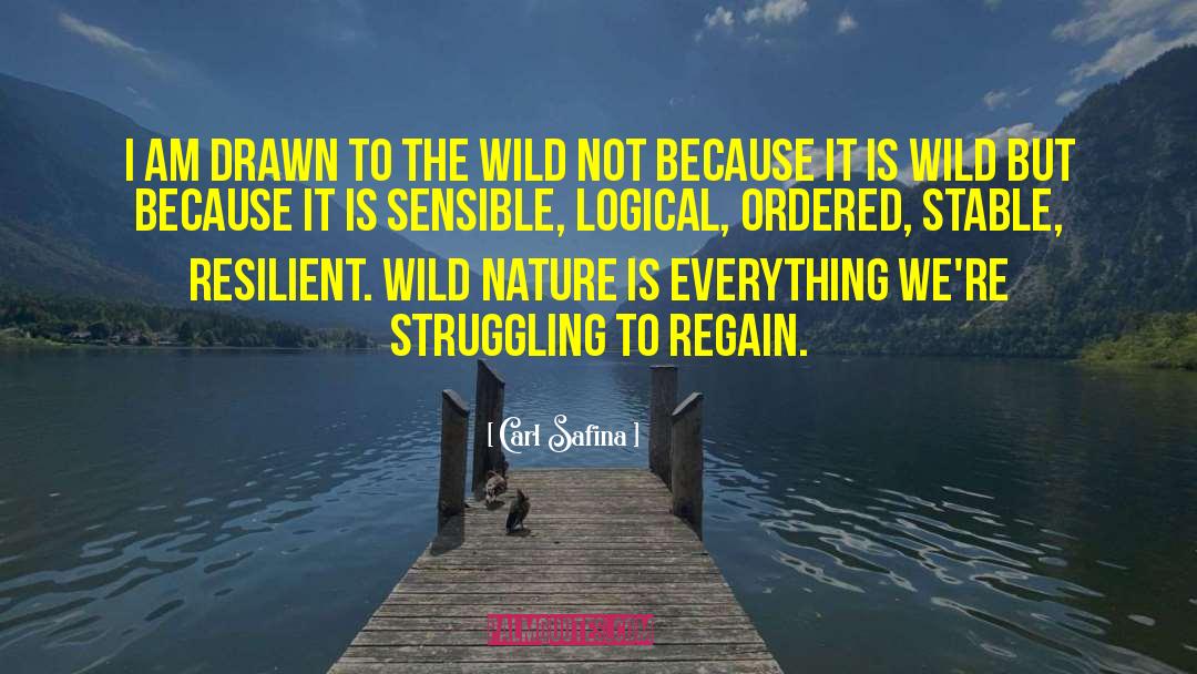 Wild Nature quotes by Carl Safina
