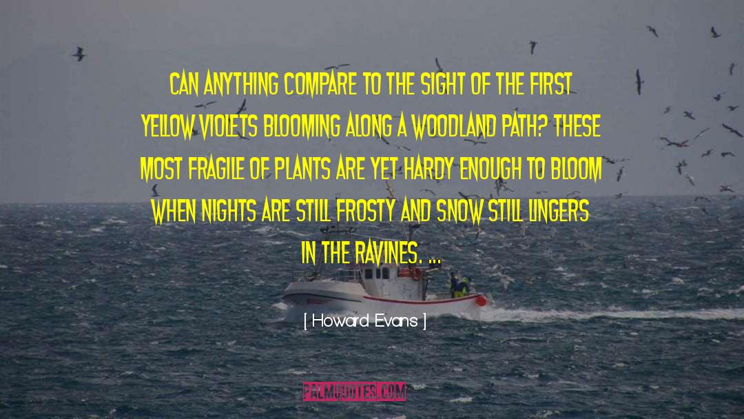 Wild Nights quotes by Howard Evans