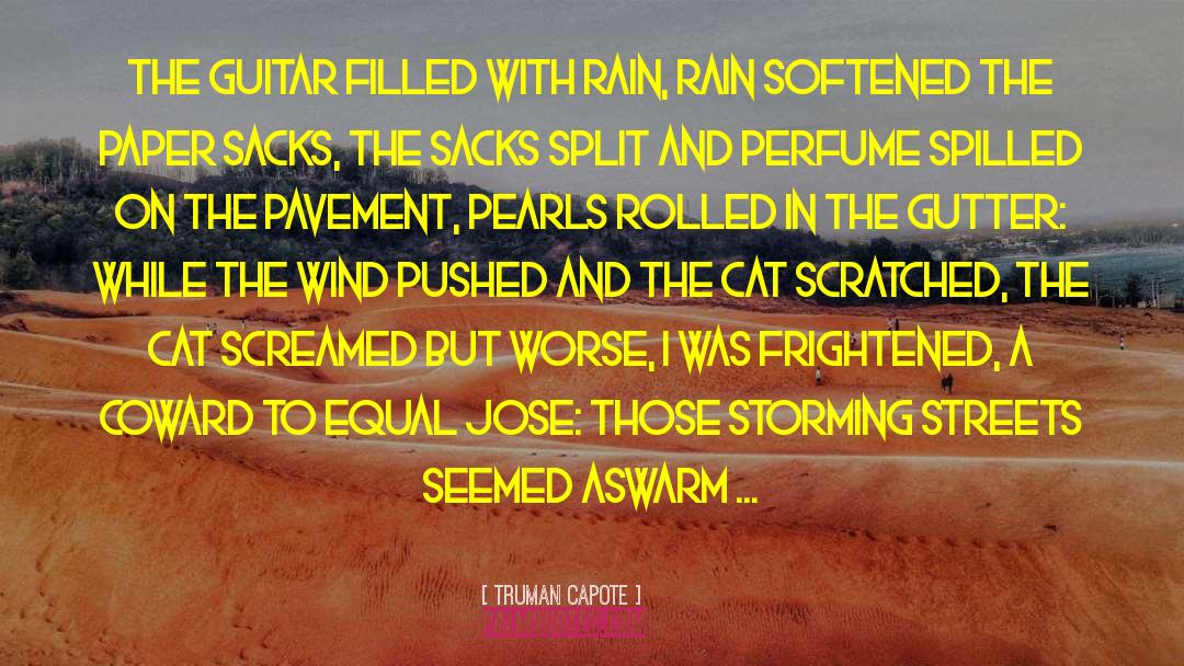 Wild Rain quotes by Truman Capote