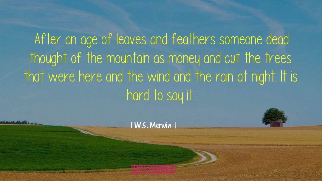 Wild Rain quotes by W.S. Merwin