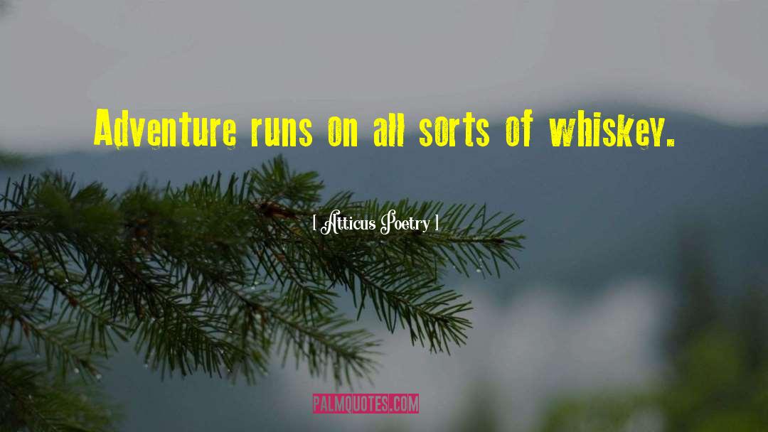 Wild Rain quotes by Atticus Poetry