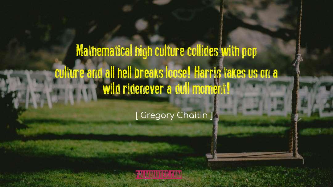 Wild Ride quotes by Gregory Chaitin