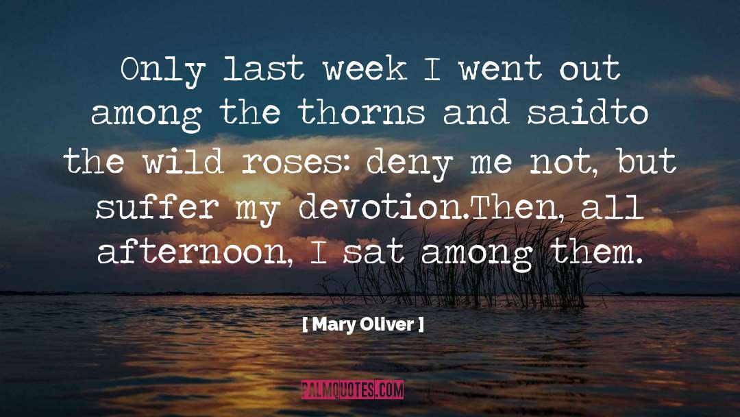 Wild Roses quotes by Mary Oliver