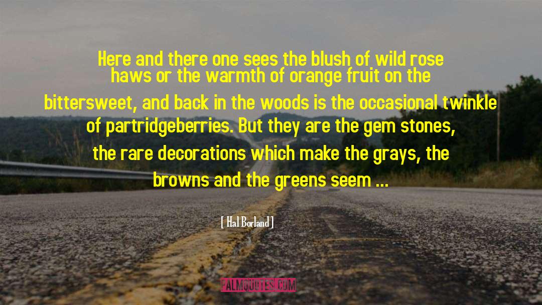 Wild Roses quotes by Hal Borland