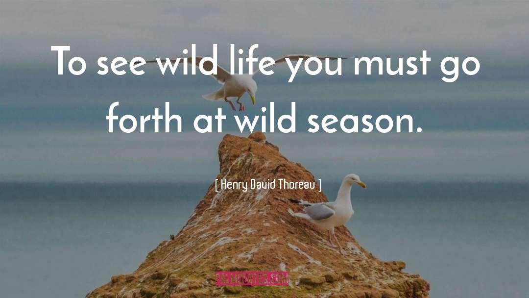 Wild Seasons Series quotes by Henry David Thoreau