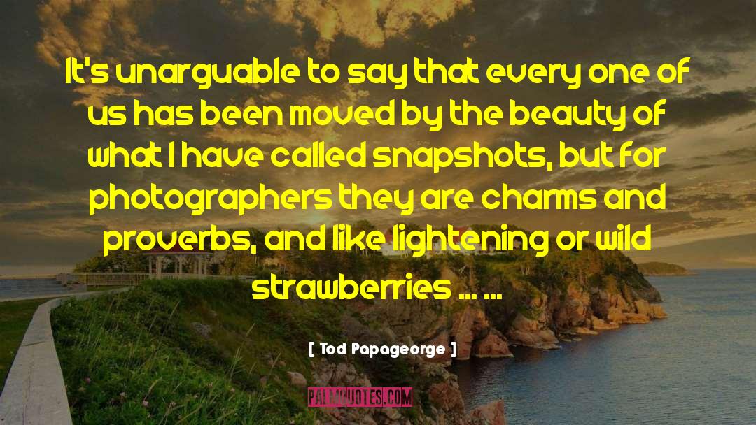 Wild Strawberries quotes by Tod Papageorge