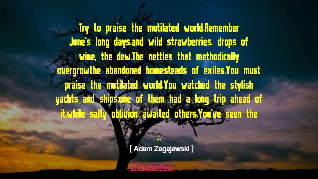 Wild Strawberries quotes by Adam Zagajewski