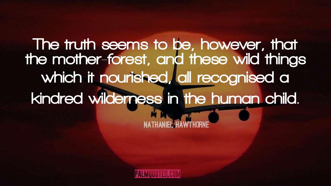 Wild Things quotes by Nathaniel Hawthorne