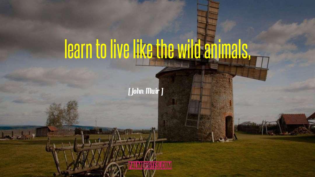 Wild Unrest quotes by John Muir