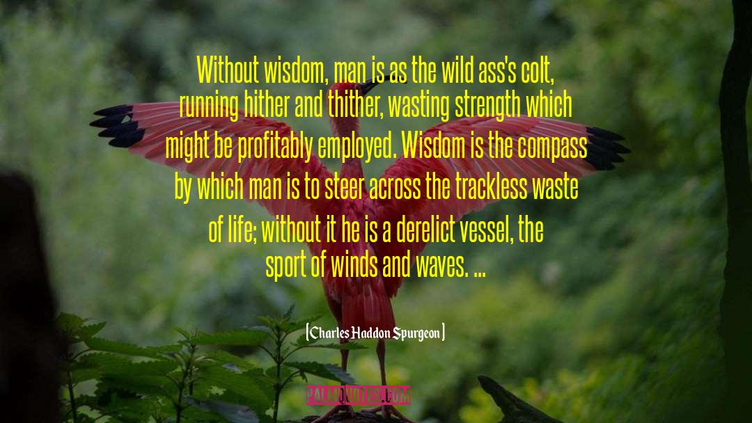 Wild Wild West quotes by Charles Haddon Spurgeon