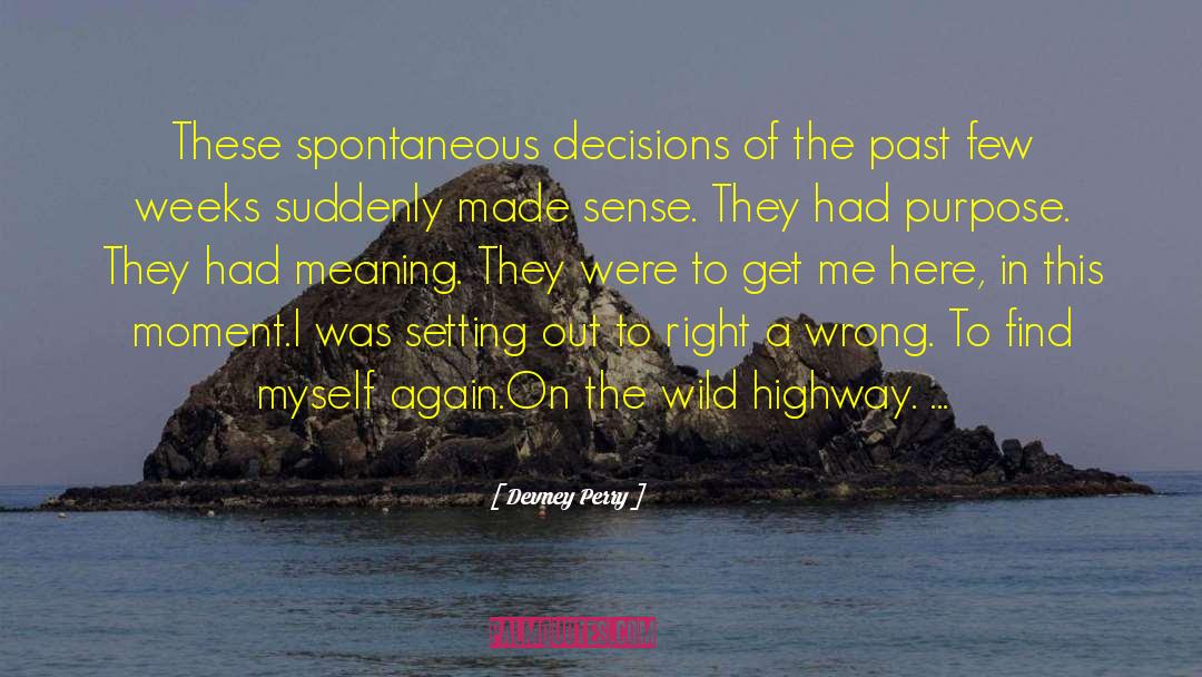 Wild Wild West quotes by Devney Perry
