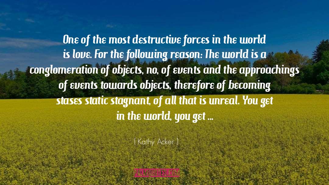 Wild World quotes by Kathy Acker