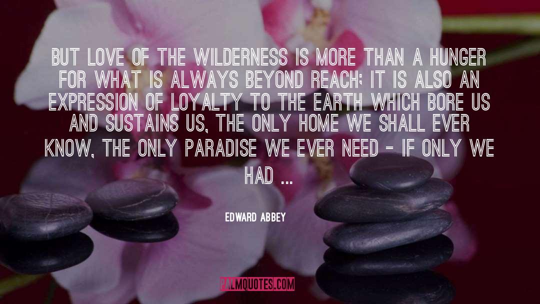 Wilderness quotes by Edward Abbey